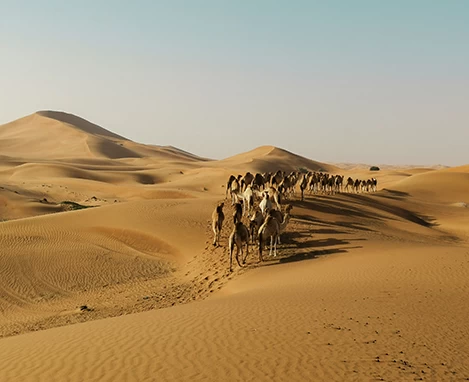 modern bedouin Dubai desert tour